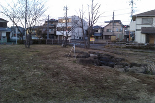 IMAG0013.jpg