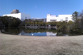 IMAG0017.jpg