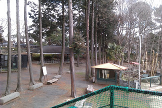 IMAG0027.jpg